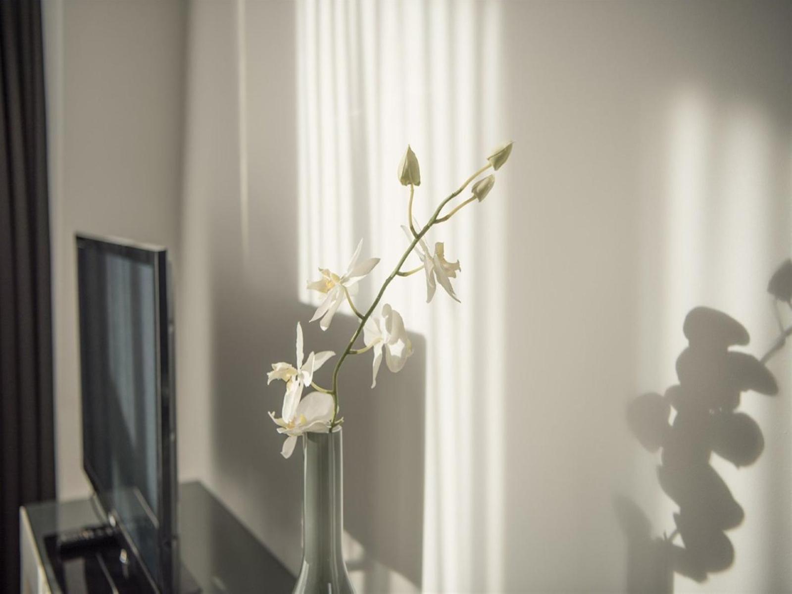 Kietas Ssa Ferienhaus *